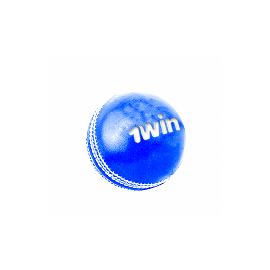 1Win Cricket Ball Blue